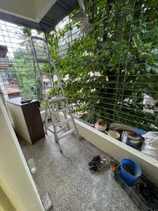 Balcony Image of 650 Sq.ft 1 BHK Apartment / Flat for rent in The Address, Koregaon Park Pune for Rs. 25000