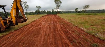 Trimbak Plot View 2