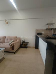 Hall Image of 640 Sq.ft 1 RK Studio for rent in Lodha Belmondo, Gahunje Pune for Rs. 35000
