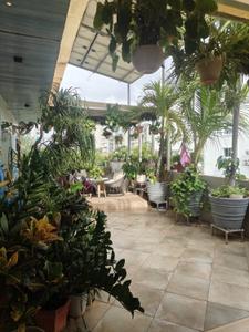 Image of 1250 Sq.ft 3 BHK Penthouse for sale in Gotri, Vadodara for Rs. 9000000