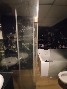 Bathroom Image of 1900 Sq.ft 3 BHK Apartment / Flat for rent in Besant Nagar Chennai for Rs. 110000