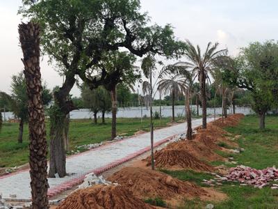 Image of 13275 Sq.ft 3 BHK Farm House for sale in Kalwad Road, Jaipur for Rs. 11210000