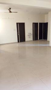 Hall Image of 1650 Sq.ft 3 BHK Apartment / Flat for rent in Lalpur Raipur for Rs. 16000
