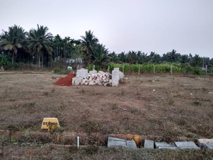 Kuduragere Main Image 1