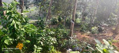 Image of 17424 Sq.ft Residential Plot / Land for sale in Vattappara, Thiruvananthapuram for Rs. 400000