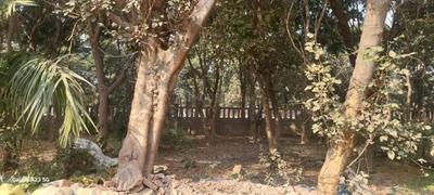 Image of 1292 Sq.ft 2 BHK Independent House for sale in Sector Xu 2, Greater Noida for Rs. 21800000