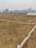 Bihta Plot View 2