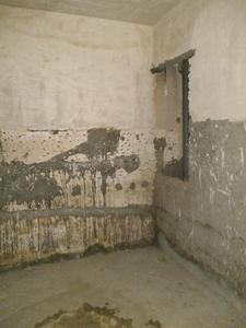 3 BHK Independent Builder Floor