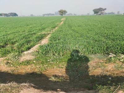 Image of 4047 Sq.ft Residential Plot / Land for sale in Palwal, Hodal for Rs. 66000000