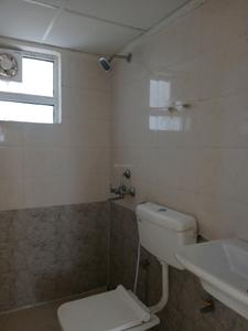 Common Bathroom Image of 900 Sq.ft 3 BHK Apartment / Flat for sale in ROF Amaltas by ROF Group, Sector 102 Gurgaon for Rs. 9000000