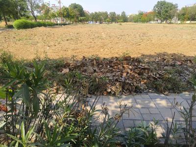 Image of 1395 Sq.ft Residential Plot / Land for sale in Reliance Met City, Yakubpur, Jhajjar for Rs. 15810000