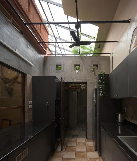 House Of Collectibles Kitchen 1