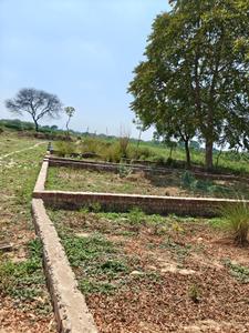 Image of 10000 Sq.ft Residential Plot / Land for sale in Jhalwa, Allahabad for Rs. 15000000
