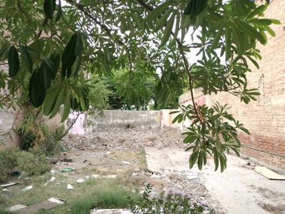 Sector 17 Plot View 2