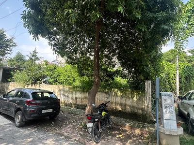 Block D Plot View 2