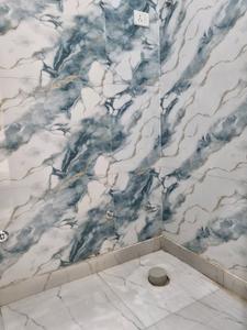 Common Bathroom Image of 620 Sq.ft 2 BHK Apartment / Flat for sale in Saarthi Affordable Homes by Saarthi Builders, Uttam Nagar New Delhi for Rs. 4200001