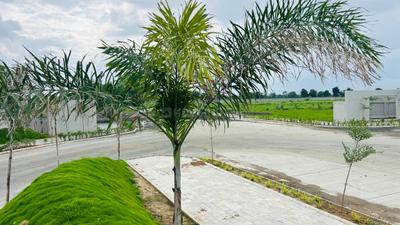 Image of 1200 Sq.ft Residential Plot / Land for sale in Mahalaxmi Nagar 51, Samruddhi Mahamarg, Nagpur for Rs. 4242000