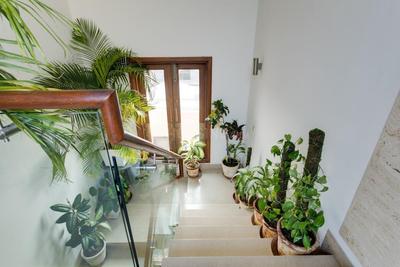 Image of 2500 Sq.ft 4 BHK Builder Floor for sale in Anand Niketan, New Delhi for Rs. 130000000