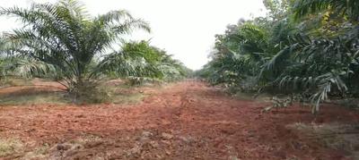 Image of 120 Sq.ft Residential Plot / Land for sale in Narayankhed, Sangareddy for Rs. 450000