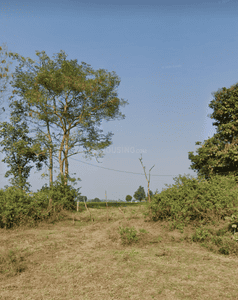 Image of 43560 Sq.ft Residential Plot / Land for sale in Parwaliya Sadak, Bhopal for Rs. 4200000