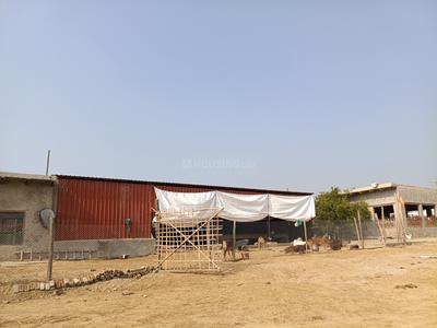 Image of 900 Sq.ft Residential Plot / Land for sale in Govardhan, Mathura for Rs. 1400000
