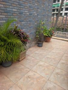 Balcony Image of 2016 Sq.ft 3 BHK Apartment / Flat for sale in Tree Of Life Chick Cottage Residences, Rustam Bagh Layout Bengaluru for Rs. 57700000