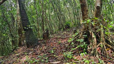 Image of 43650 Sq.ft Residential Plot / Land for sale in Belman, Udupi for Rs. 5000000