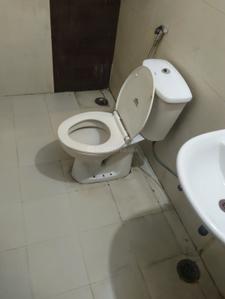 Image of 1500 Sq.ft 3 BHK Apartment / Flat for rent in Amrapali Castle, Chi V, Greater Noida for Rs. 21000