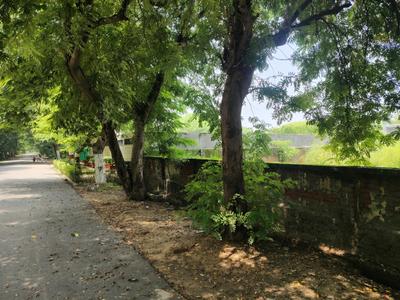 Cassia Nodosa Estate Plot View 2