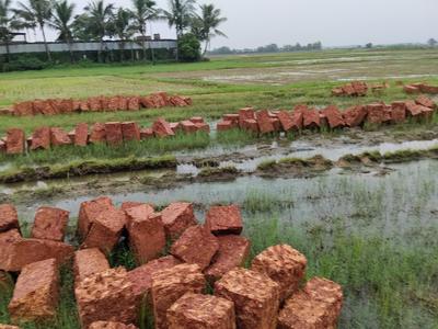 Image of 1500 Sq.ft Residential Plot / Land for sale in Benupur, Bhubaneswar for Rs. 3450000