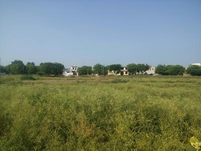 Theta II Plot View 3