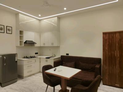 Living Room Image of 600 Sq.ft 1 BHK Independent House for rent in Mayfield Garden Gurgaon for Rs. 35000