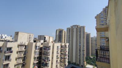 Building Image of 615 Sq.ft 1 BHK Apartment / Flat for rent in Maxblis Grand Wellington, Sector 75 Noida for Rs. 24500