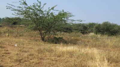 Image of 900 Sq.ft Residential Plot / Land for sale in Pappampatti, Coimbatore for Rs. 1200000