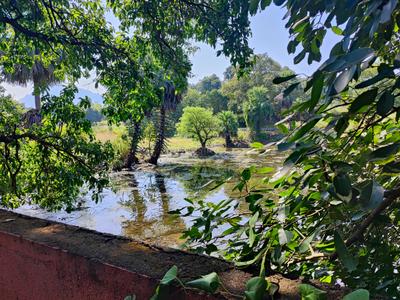 Image of 21000 Sq.ft Residential Plot / Land for sale in Kanchad, Mumbai for Rs. 22500000