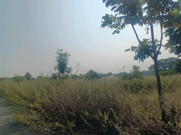 Devender Colony Plot View 1