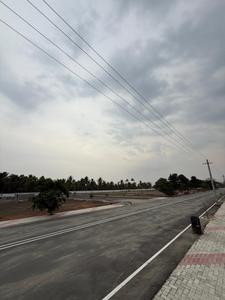Residential Plot