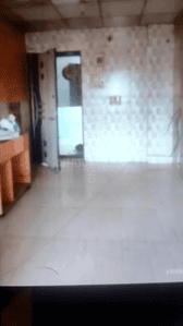 Living Room Image of 565 Sq.ft 1 BHK Apartment / Flat for rent in Kalyan East Kalyan for Rs. 10500