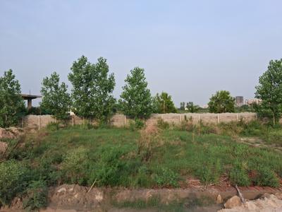 Image of 900 Sq.ft Residential Plot / Land for sale in Sector 150, Noida for Rs. 2100000