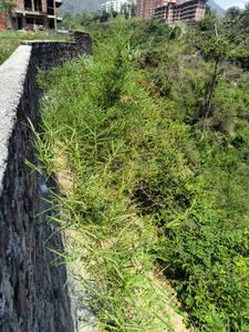 Image of 494 Sq.ft Residential Plot / Land for sale in Deeksha Mayfair Highlands Plots, Mussoorie Road, Dehradun for Rs. 47520000