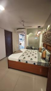 Bedroom Image of 1000 Sq.ft 2 BHK Builder Floor for rent in Sector 122 Noida for Rs. 45000