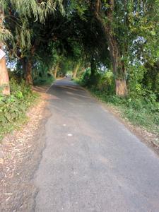 Image of 1440 Sq.ft Residential Plot / Land for sale in New Town, Kolkata for Rs. 2450000