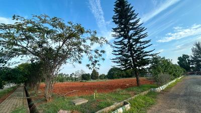 Image of 2400 Sq.ft Residential Plot / Land for sale in Sarjapur, Bengaluru for Rs. 35000000