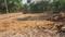 Madanpur Main Image 1