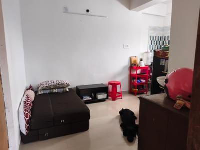 Living Room Image of 470 Sq.ft 1 BHK Apartment / Flat for sale in Panihati Kolkata for Rs. 1650000