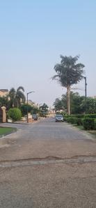 Image of 500 Sq.ft Residential Plot / Land for sale in Emaar The Villas, Sector 105, Mohali for Rs. 65500000