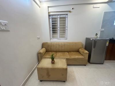 Hall Image of 595 Sq.ft 1 BHK Apartment / Flat for rent in BTM Layout Bengaluru for Rs. 25499
