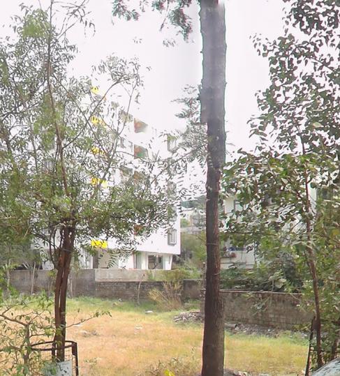 Shinde Vasti, Ravet Main Image 1