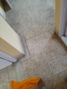 Bedroom Image of 540 Sq.ft 2 BHK Apartment / Flat for sale in Jadavpur Kolkata for Rs. 3500000