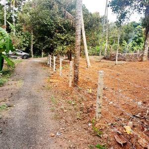 Karukutty Plot View 3
